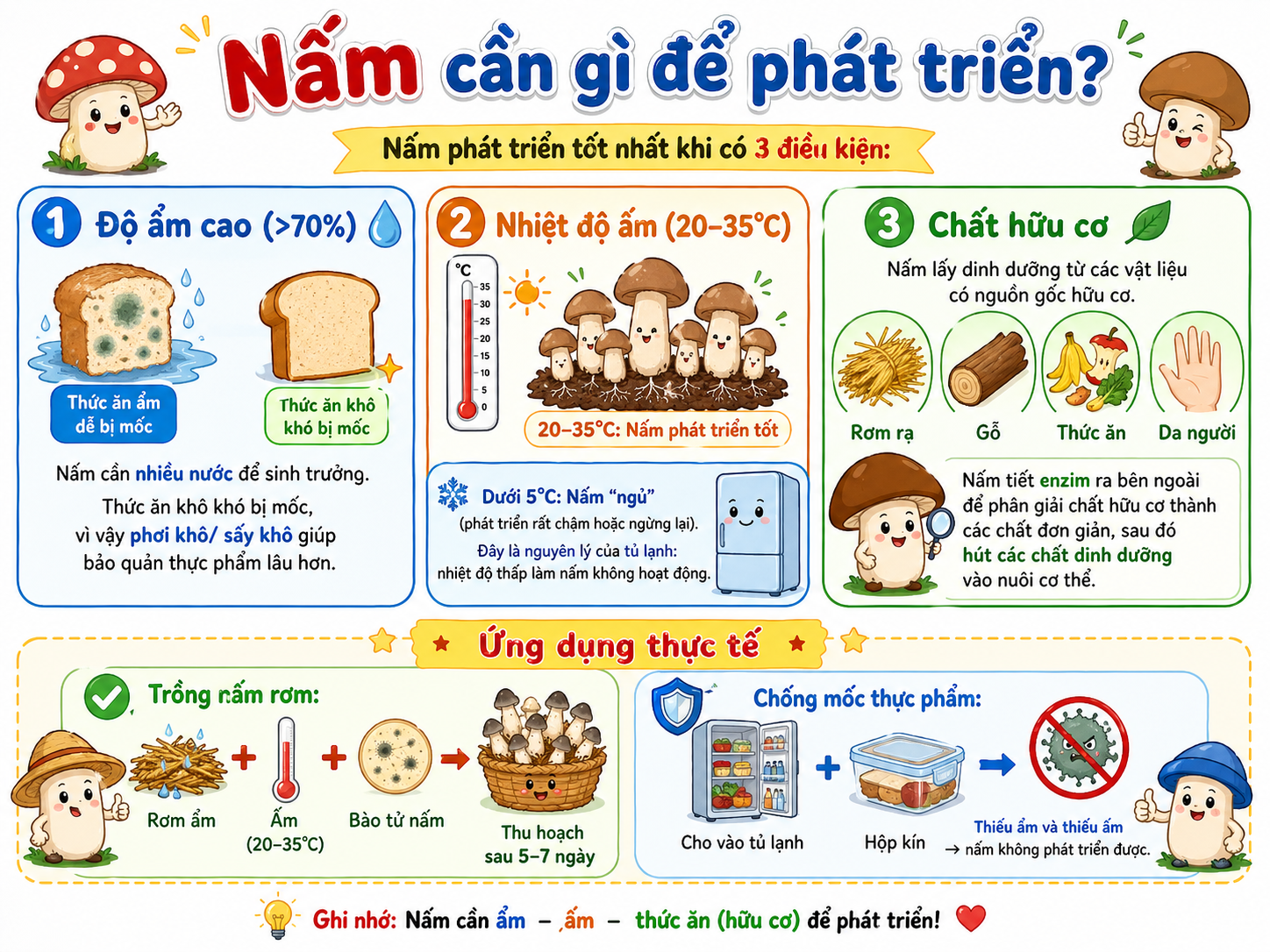 Nấm cần gì để phát triển