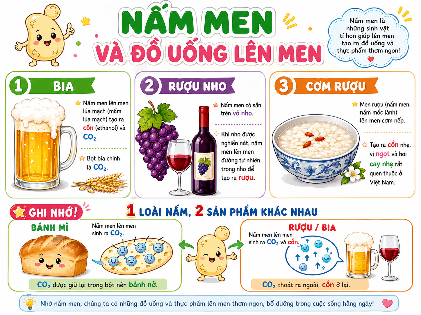 Nấm men và đồ uống lên men