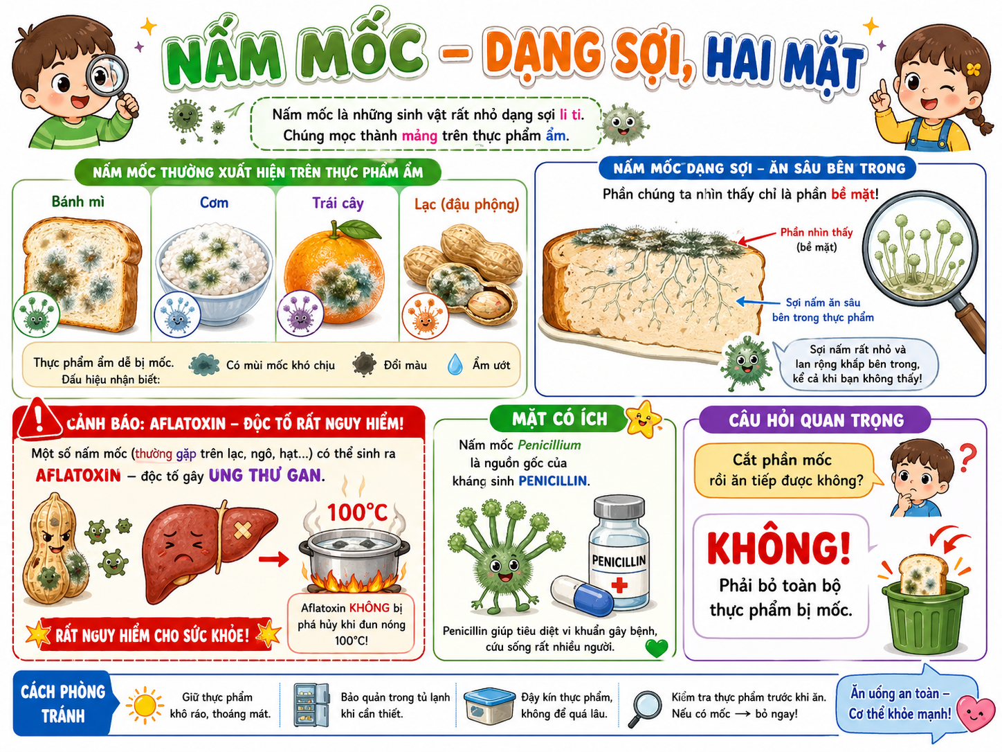 Nấm mốc