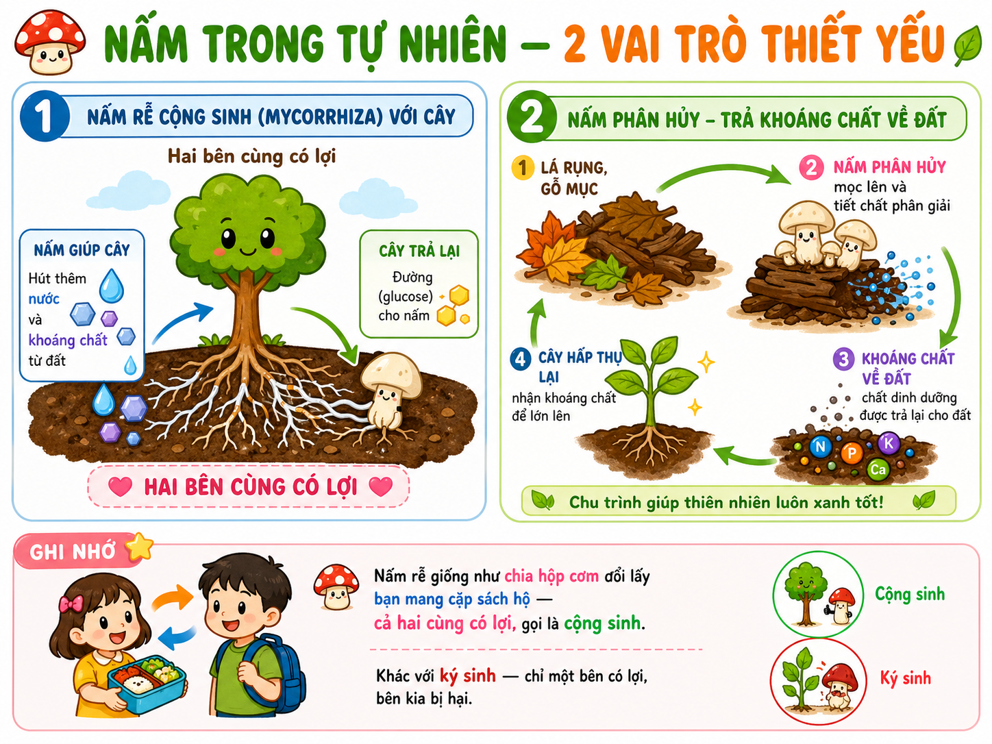 Nấm trong tự nhiên