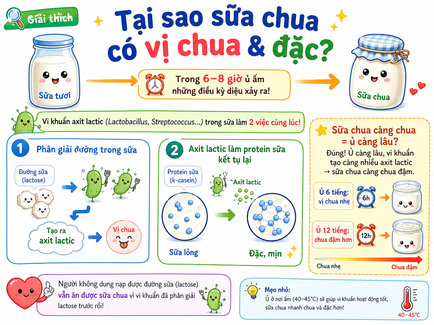 Tại sao sữa chua có vị chua và đặc