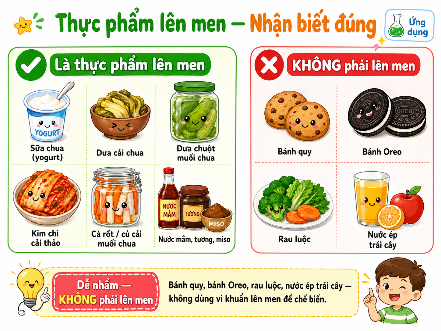 Thực phẩm lên men