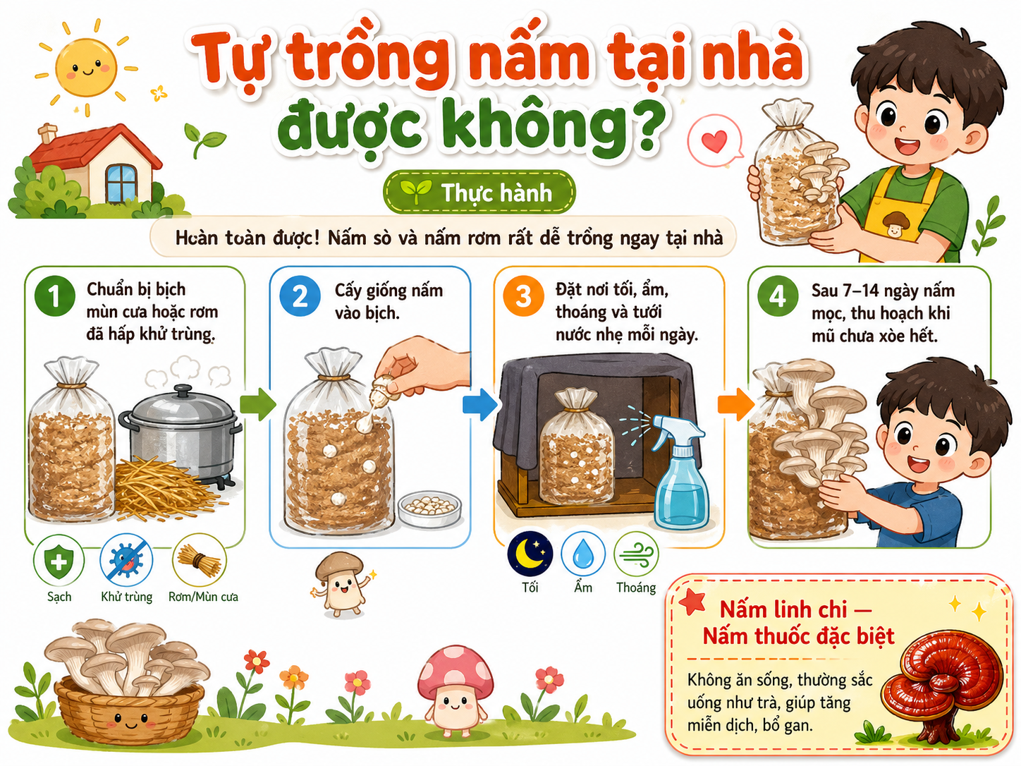 Tự trồng nấm tại nhà