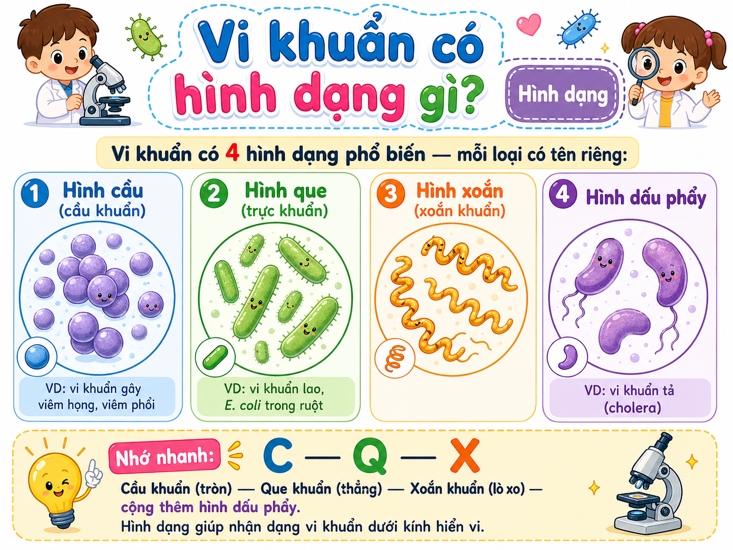 Vi khuẩn có hình dạng gì